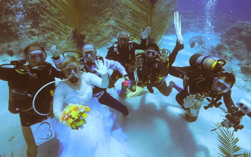 wedding under water with the full team